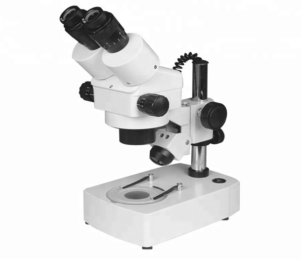 Stereo Microscope