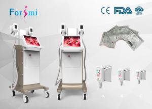 Wholesale spot fat removal 1800 W Cryolipolysis Slimming Machine FMC-I Fat Freezing Machine from china suppliers