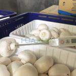 New Vacuum Agriculture Cooling Machine for Vegetable/Fruit/Mushroom/Flower Farm