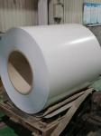 Pre Painted Dx51d Metal Steel Coil Ppgi Ppgl Cold Rolled