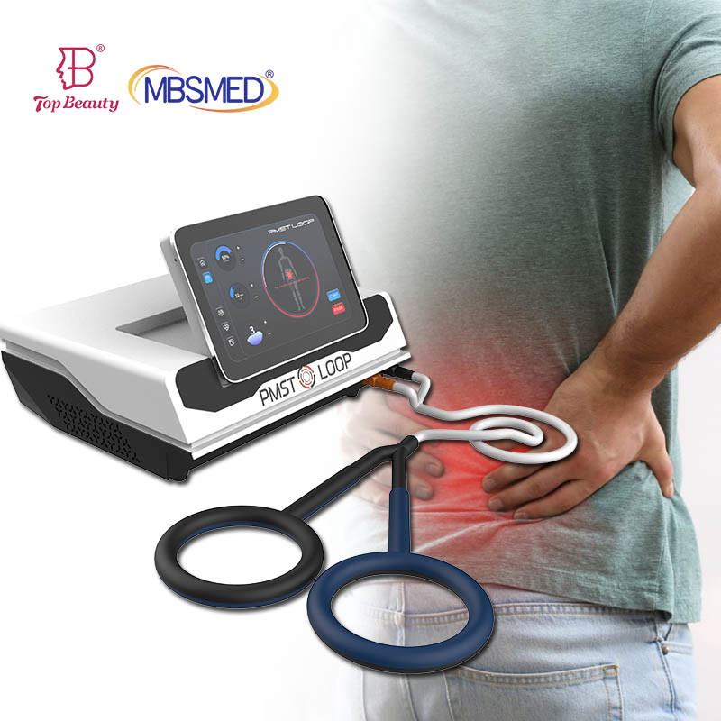 Pemf Loop Equine Pmst Loop Physical Therapy Magnetic Pmst High Powered Magneto Pemf Therapy Machine for Human and Horse