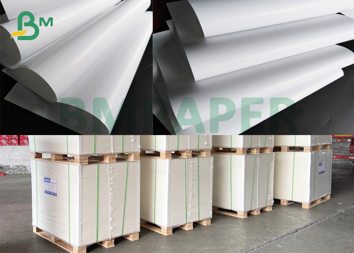 C1S label paper