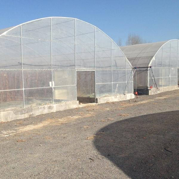 LiTai Greenhouse High Tunnel Greenhouse for Agricultural Plants Growing