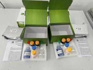 China Porcine FMDV Type A antibody ELISA Kit foot and mouth disease elisa test on sale