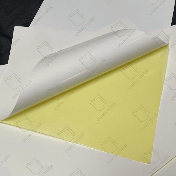 80g/90g/120g Waterproof Self-Adhesive Label Paper For Product Branding &