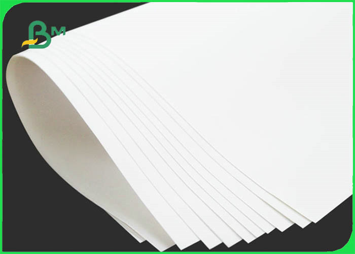 Food Grade Bleached Kraft Paper Roll For Meat Package 60gsm 70gsm 80gsm 120gsm