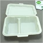 Food Grade Corn Starch PP 9x6 Inch 2 Compartments Lunch Box,Factory Offer