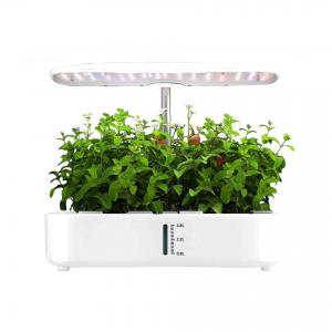 China 24w hydroponics growing system 12pods vegetable fruit home grow mini garden FULL SPECTRUM LARGE CAPACITY on sale