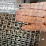 Made in China Low Price Galvanized Welded Wire Mesh PanelWelded Wire Mesh/ Mesh