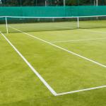 PVC Eco Friendly 25mm Artificial Lawn Grass High Carbon PE