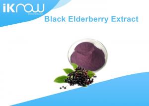 China Herbal Remedies Black Elderberry Extract Powder , Fruit Anthocyanin Powder on sale