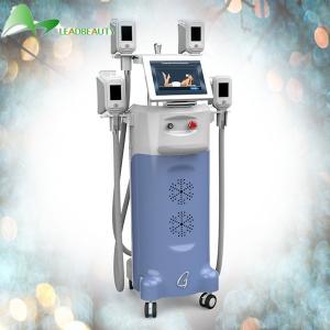 Wholesale Body Cryolipolysis Slimming Machine , Cellulite Weight Reduction Equipment from china suppliers