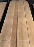 Crown Cut American Cherry Wood Veneer For Fancy Boards Interior Design