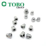 304 Stainless Steel Hex Cap Nut DIN 1587 Hexagon Domed Cap Nut