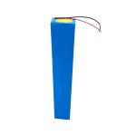 CC CV 60Ah rechargeable Lifepo4 Batteries 1C Discharge 24 Volt