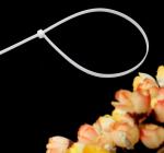 Nylon Cable Tie 8 Series Self Locking Cable Tie Black Nylon Cable Tie White