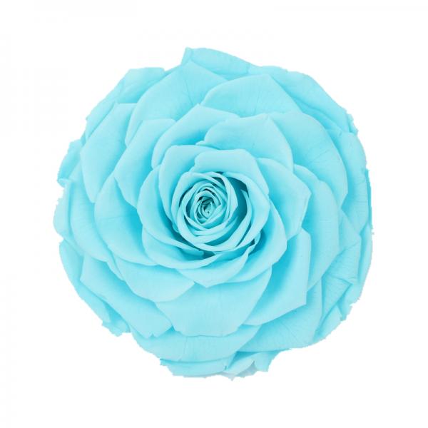 Decorative Preserved Rose Heads Maintain Natural Beauty & Colour For A Long Time