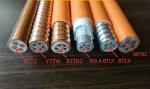 0.6/1kv Bttw/Yttw, Fire Resistant Cable Multi Cores Inorganic Mineral Insulated