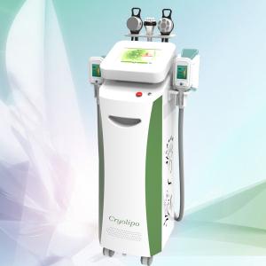 Wholesale Newest Cryolipolysis Slimming Machine / Cryolipolysis machine from china suppliers