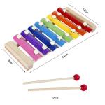 8 Notes Piano And Xylophone Toy With Wooden Frame