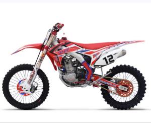 Wholesale Double disc brakes with powerful engine racing Dirt bike 300cc from china suppliers