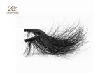 Fan Shaped Whole Strip Cotton Stalk 5D Volume Lashes