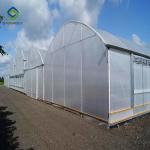 12m Polycarbonate Greenhouse Hydroponic Growing Systems