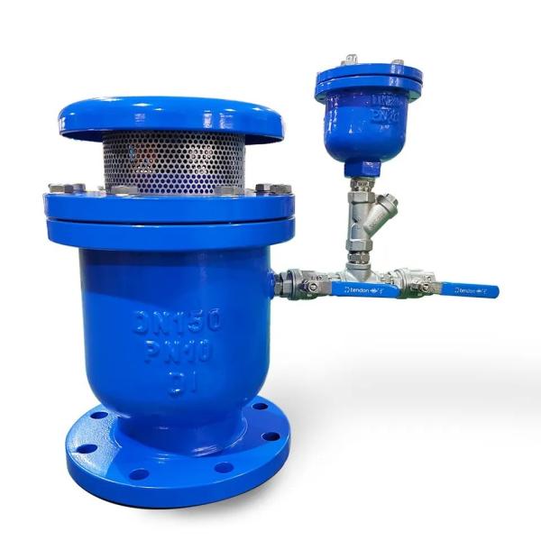 Water Cast Iron Compound Relief Valve 3 Inch Air Valves Vents with DI Body