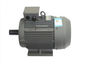 Wholesale Heavy Duty High Efficiency AC Motor , Three Phase Electric Asynchronous Motor from china suppliers
