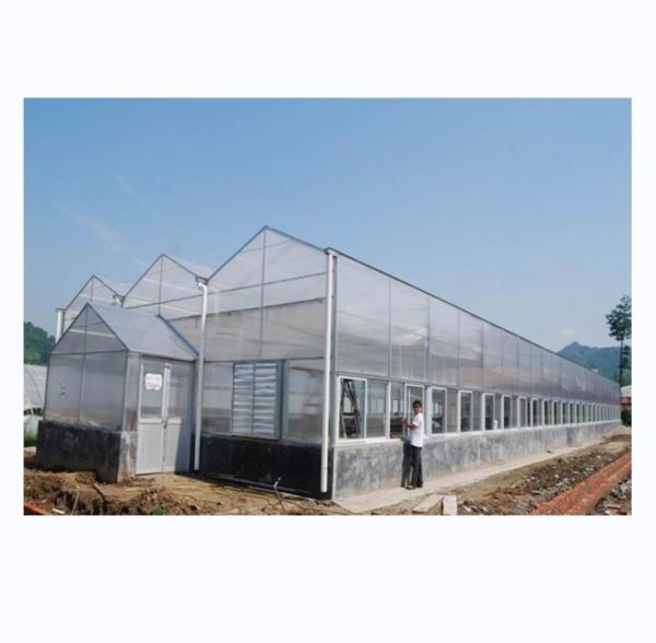 Industrial Polycarbonate Sheet Greenhouses Ideal for Growing Vegetable Fruits