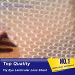 PLASTIC LENTICULAR fly eye lens sheet 3d 360 lenticular lens sheet for