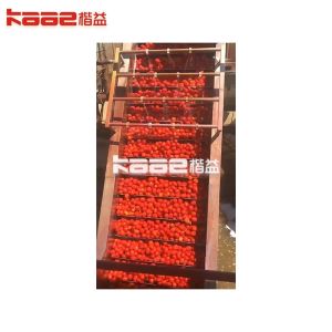 Turnkey Canned food processing line canned tomato paste processing line