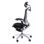 Butterfly Backrest Wintex Mesh Chair Lumbar Support Ergonomic Office Chair