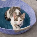 Felt Purple Pet Bed Cushion Luxury Round Modern Felt Cat Pot Bed Mats 52x12cm