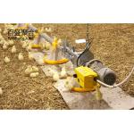ISO9001 2008/CE/BV Certified Steel Frame Chicken Farm for Open Side Poultry Shed