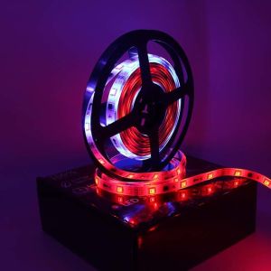 China Smd 5050 12v Waterproof Rgb Led Strip Lights Dreamcolor Pixel Ws2811 on sale