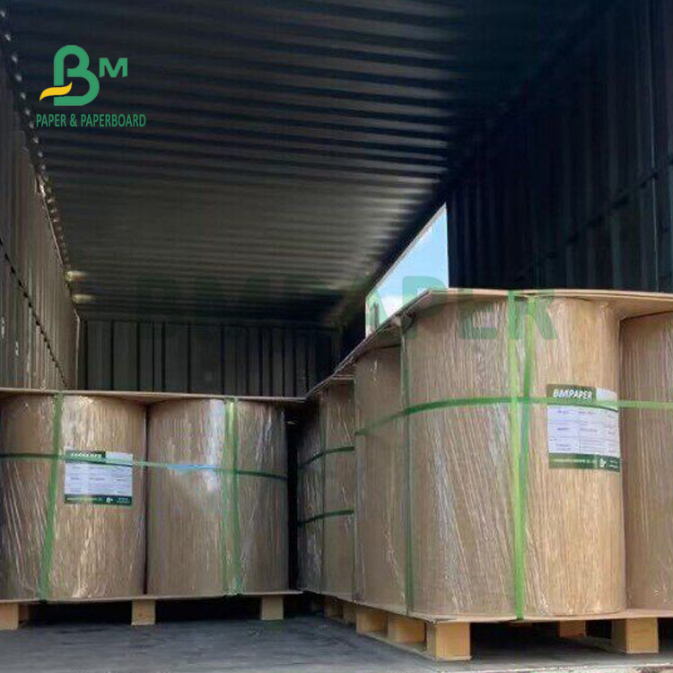 200gsm Inkjet Printing Digital Coated Glossy Paper For Illustrations 65 x 95cm