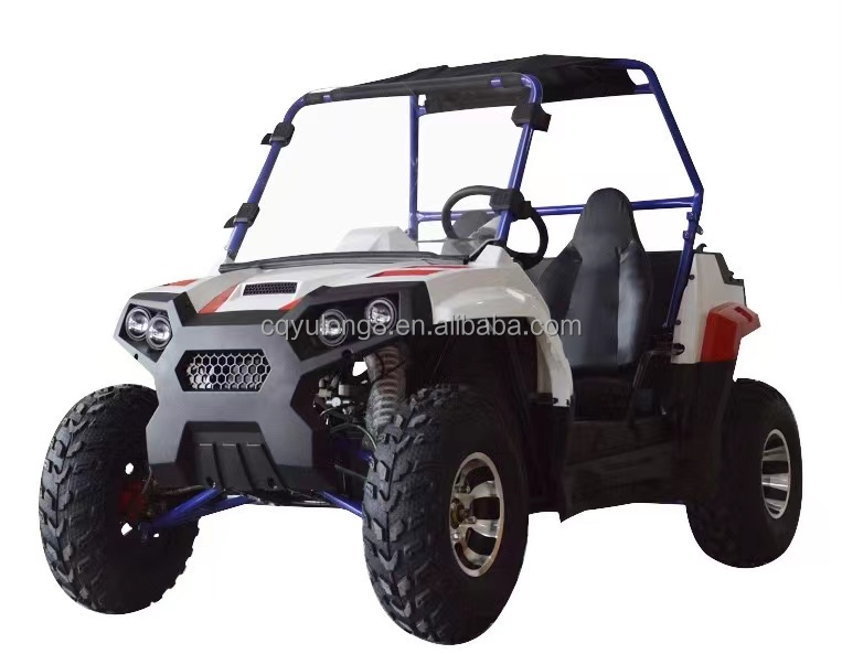 Maximum Torque 20-40Nm Electric UTV 4x4 Go Karts 3000W 60V with Differential Lock
