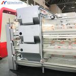 Automatic Broiler Chicken Farming Equipment H Type Chicken Steel Cage