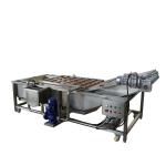 Washing Drying Grading Fruit Vegetable Processing Machines