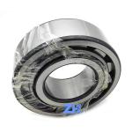 NJ2317 Cylindrical Roller Bearing 85*180*60mm Flanged Sleeve Bearing Strong