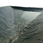 Eco-Friendly Geomembrane for Fish Pond 0.5mm Thickness from Length 50-200m /