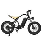 48V Fat Tire Electric Mountain Bike 20 Inch Customized Black Ebike with Disc