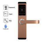 263×59mm Smart Password Lock SS304 Mortise DC6V AA For Apartment Hotel
