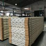 Customized Insulation Cam Lock Polyurethane Cold Room Sandwich Panels