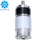 OEM high quality low rpm 10rpm 20rpm brushless 12v 24v dc gear motor 20kg 50kg