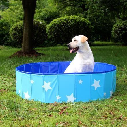 High quality Blue & Pink Pet Swimming Pool Portable Pool Dogs Cats Bathing Tub