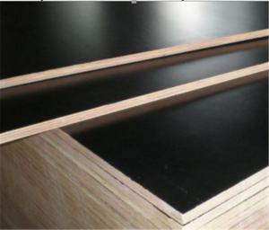 Wholesale Construction Grade 19mm Wbp Plywood Sheets 1220mm*2440mm Size No Cracking from china suppliers