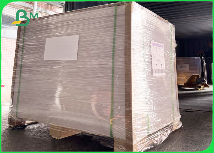 coated food container board