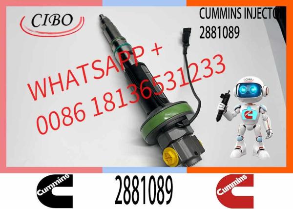 NINE BRAND High Quality Diesel Injector 2881089 Qsk19 Injector Fuel Injector